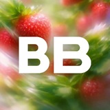 ВкусВилл