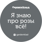 Ижукова Людмила