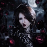 Завидные котики😎